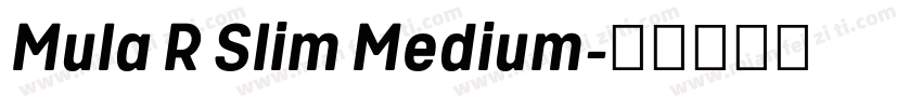 Mula R Slim Medium字体转换